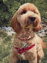 Load image into Gallery viewer, Large Dog Tag-hexagon, square and round