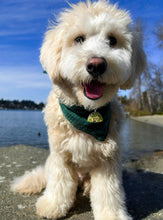 Load image into Gallery viewer, Small Dog tags- 1 inch sizes
