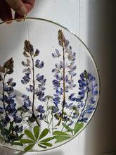 Load image into Gallery viewer, Large California lupine wall hanging, 10 inches in diameter, clear background, california wildflower

