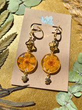 Load image into Gallery viewer, Fall Collection- simple marigolds with clasp earrings
