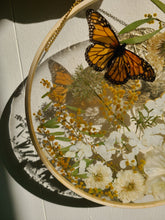 Load image into Gallery viewer, Large Monarch Butterfly Garden wall hanging, 10 inches in diameter, clear background, golden sun
