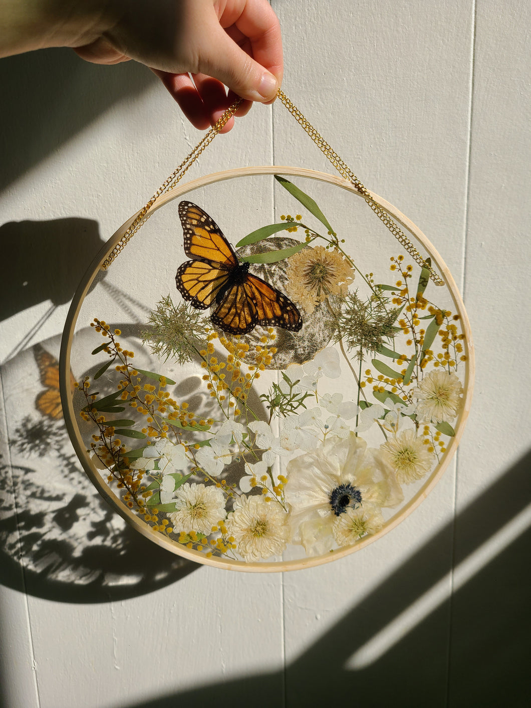 Large Monarch Butterfly Garden wall hanging, 10 inches in diameter, clear background, golden sun