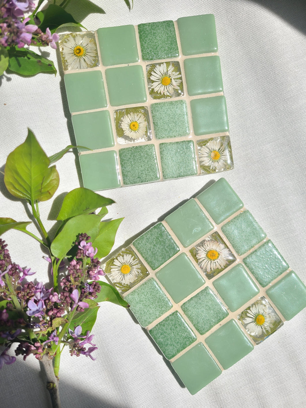 Tiled Coaster- Little Spring Daisy, 4x4, light sage green