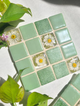 Load image into Gallery viewer, Tiled Coaster- Little Spring Daisy, 4x4, light sage green

