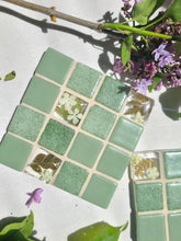 Load image into Gallery viewer, Tiled Coaster- Little ferns, 4x4, light sage green
