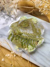 Load image into Gallery viewer, Single flower coaster, mixed ferns, real pressed flower in resin, FDA food safe resin
