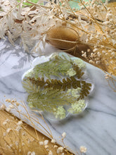 Load image into Gallery viewer, Single flower coaster, mixed ferns, real pressed flower in resin, FDA food safe resin
