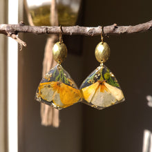 Load image into Gallery viewer, California poppy earrings, real pressed flower in resin, dark background, brass bezel
