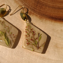 Load image into Gallery viewer, Tea tree earrings, real pressed flower in resin, taupe background
