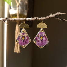 Load image into Gallery viewer, Violet dangles, real pressed flower in resin, hammered brass
