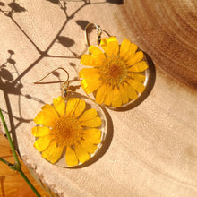 Load image into Gallery viewer, Boston daisy earring, real pressed flower in resin, mustard yellow, sunshine earring

