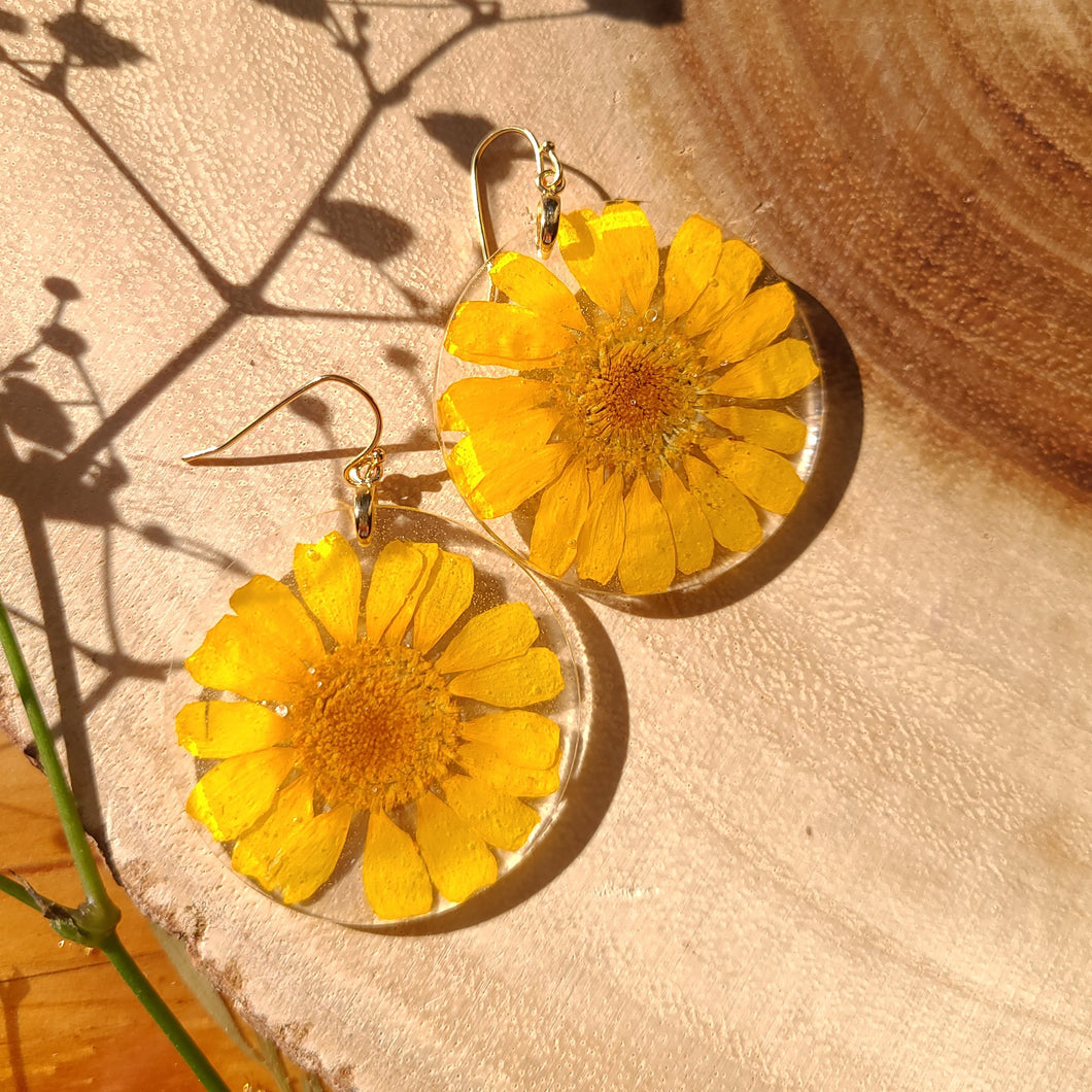 Boston daisy earring, real pressed flower in resin, mustard yellow, sunshine earring