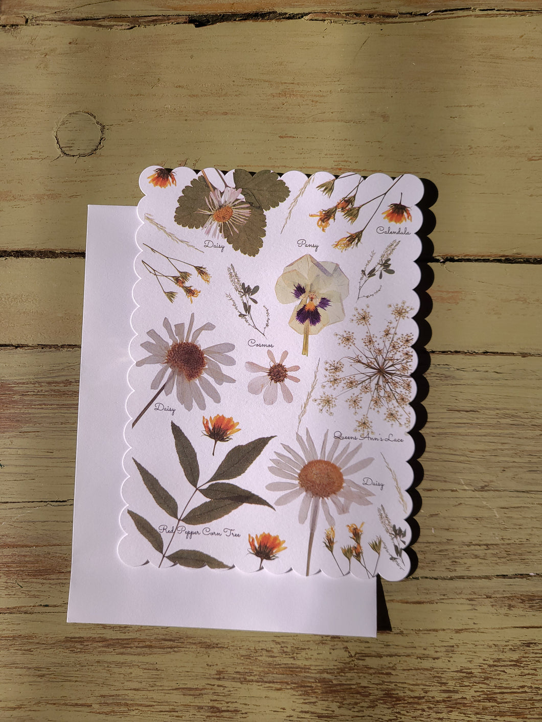 SINGLE Digitalized Pressed Botanical Postcards(White), One-sided postcards with envelope
