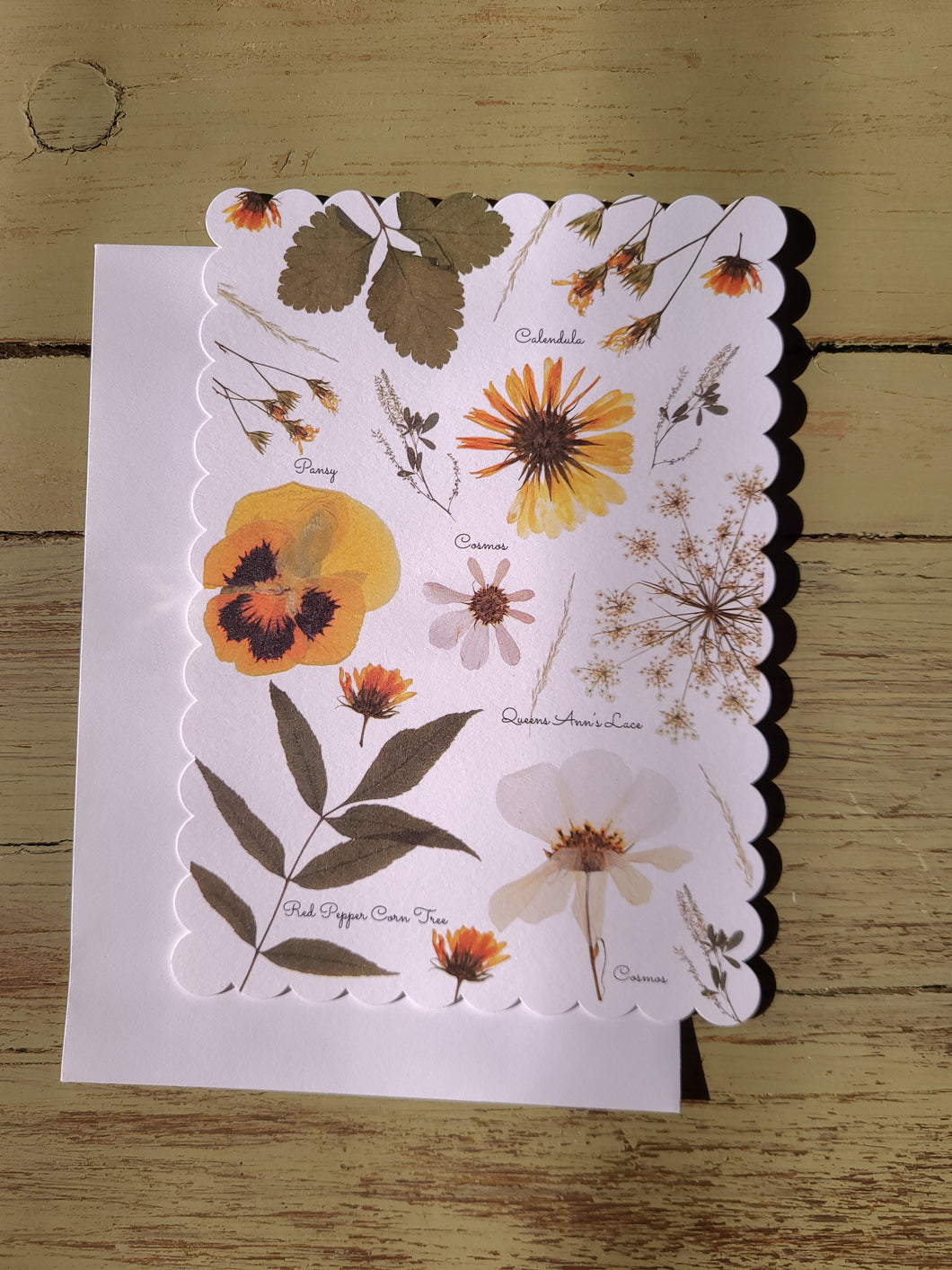 SINGLE Digitalized Pressed Botanical Postcards( Yellow), One-sided postcards with envelope