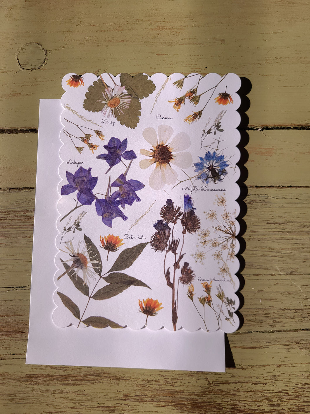SINGLE Digitalized Pressed Botanical Postcards(Blue), One-sided postcards with envelope