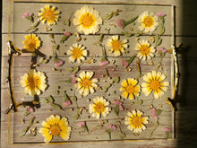 Load image into Gallery viewer, Yellow Daisy Tray, charcuterie board,12 inches x 10 inches, metal twig handle, made with FDA food safe resin
