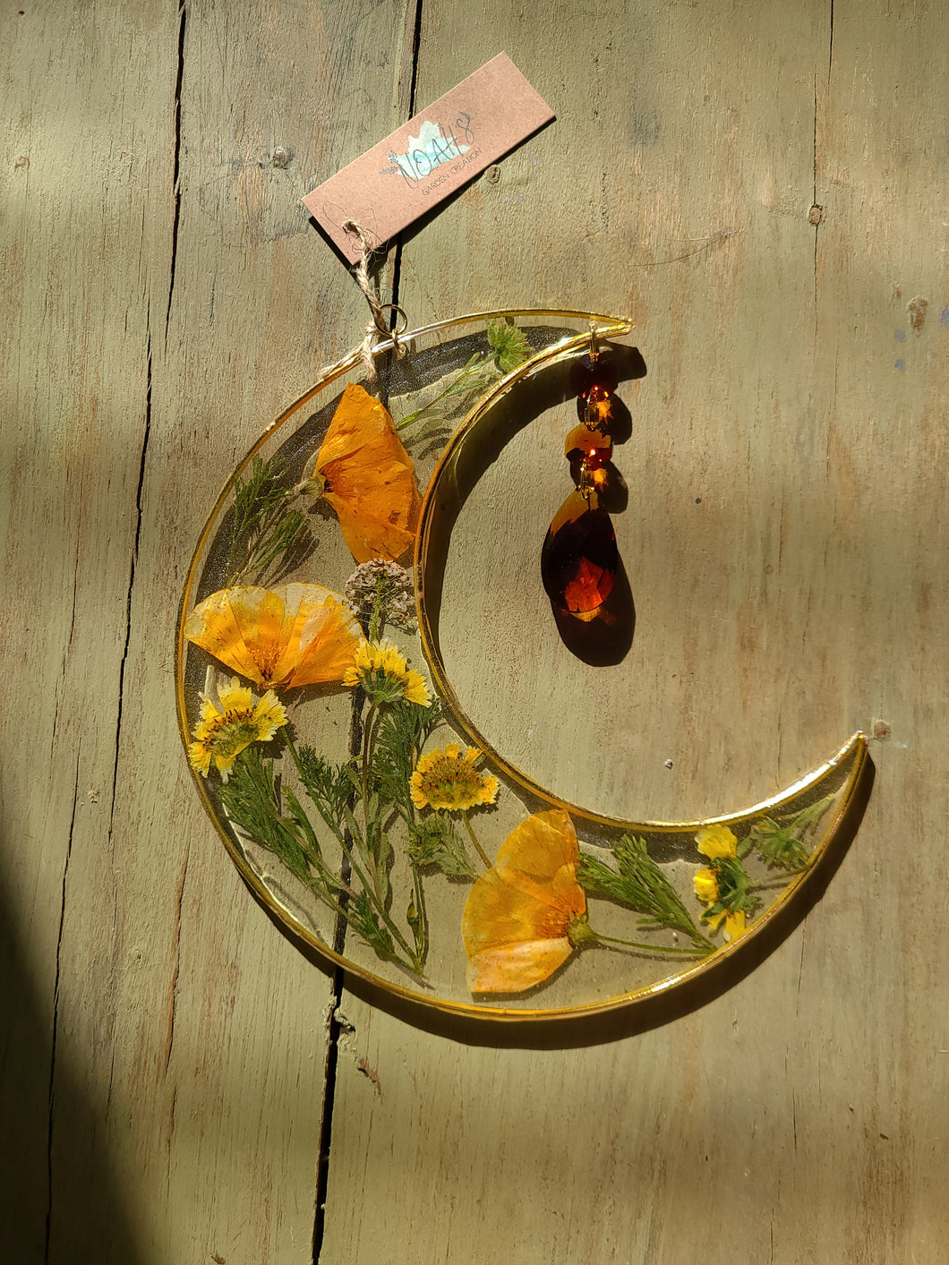 Large California Poppy Resin wall hangings, 8 inches, amber crystal, clear background, california wildflower