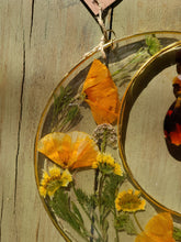 Load image into Gallery viewer, Large California Poppy Resin wall hangings, 8 inches, amber crystal, clear background, california wildflower
