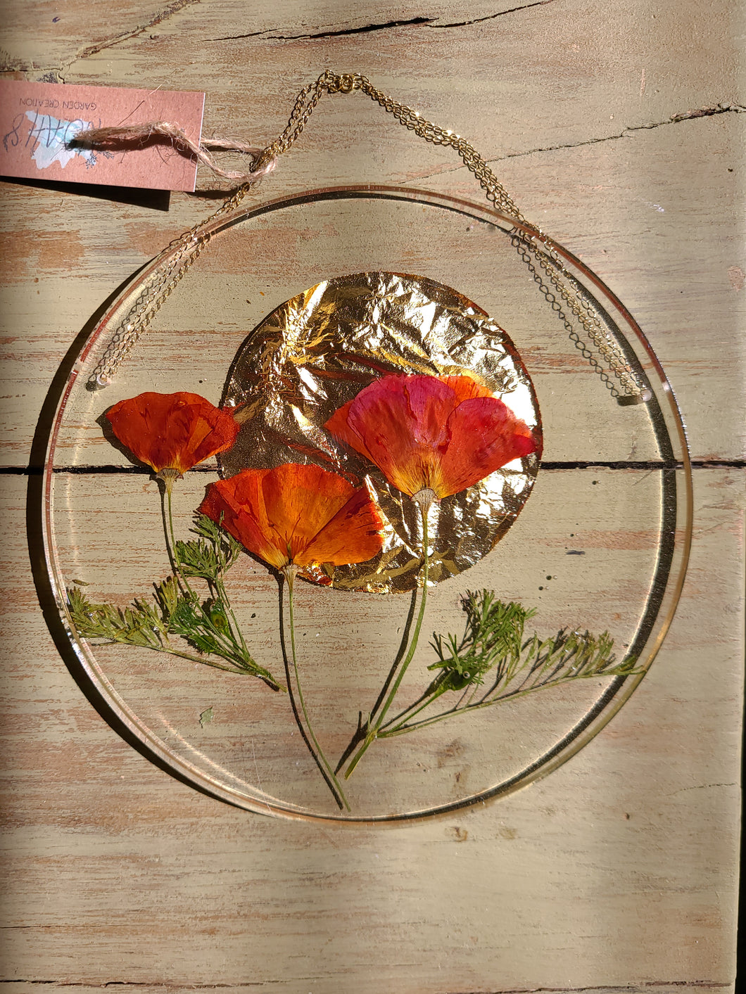 California Wildflower Resin wall hangings, 7 inches in diameter, clear background