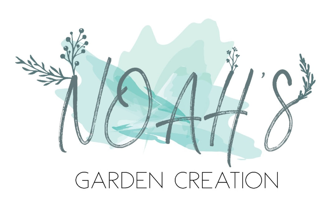 Noah's Garden Creation Gift Card