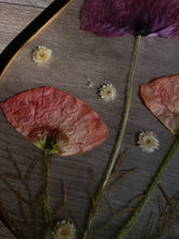 Load image into Gallery viewer, Iceland Poppy Wall Hanging,  Teardrop, frosted background

