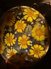 Load image into Gallery viewer, Round Boston Daisy Clutch, resin clutch, removable golden crossbody chain, 7 inches in diameter

