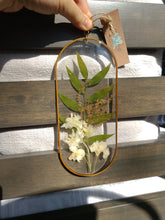 Load image into Gallery viewer, Wall Decor- Unique wooden frame, Capsule shaped, real pressed flowers
