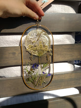 Load image into Gallery viewer, Wall Decor- Unique wooden frame, Large capsule shaped, real pressed flowers
