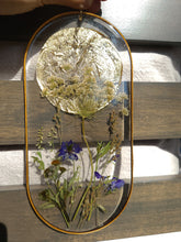 Load image into Gallery viewer, Wall Decor- Unique wooden frame, Large capsule shaped, real pressed flowers
