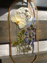 Load image into Gallery viewer, Lupine Gaden Wall Decor- Unique wooden frame, Capsule shaped, real pressed flowers
