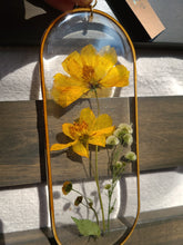 Load image into Gallery viewer, Golden Cosmo Wall Decor- Unique wooden frame, Capsule shaped, real pressed flowers
