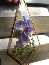 Load image into Gallery viewer, Sweet Pea Wall Decor- Unique wooden frame, real pressed flowers
