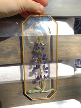 Load image into Gallery viewer, Lupine Wall Decor- Unique wooden frame, real pressed flowers

