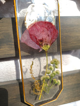 Load image into Gallery viewer, Iceland Poppy Wall Decor- Unique wooden frame, real pressed flowers
