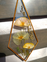 Load image into Gallery viewer, Wall Decor- Unique wooden frame, real pressed flowers

