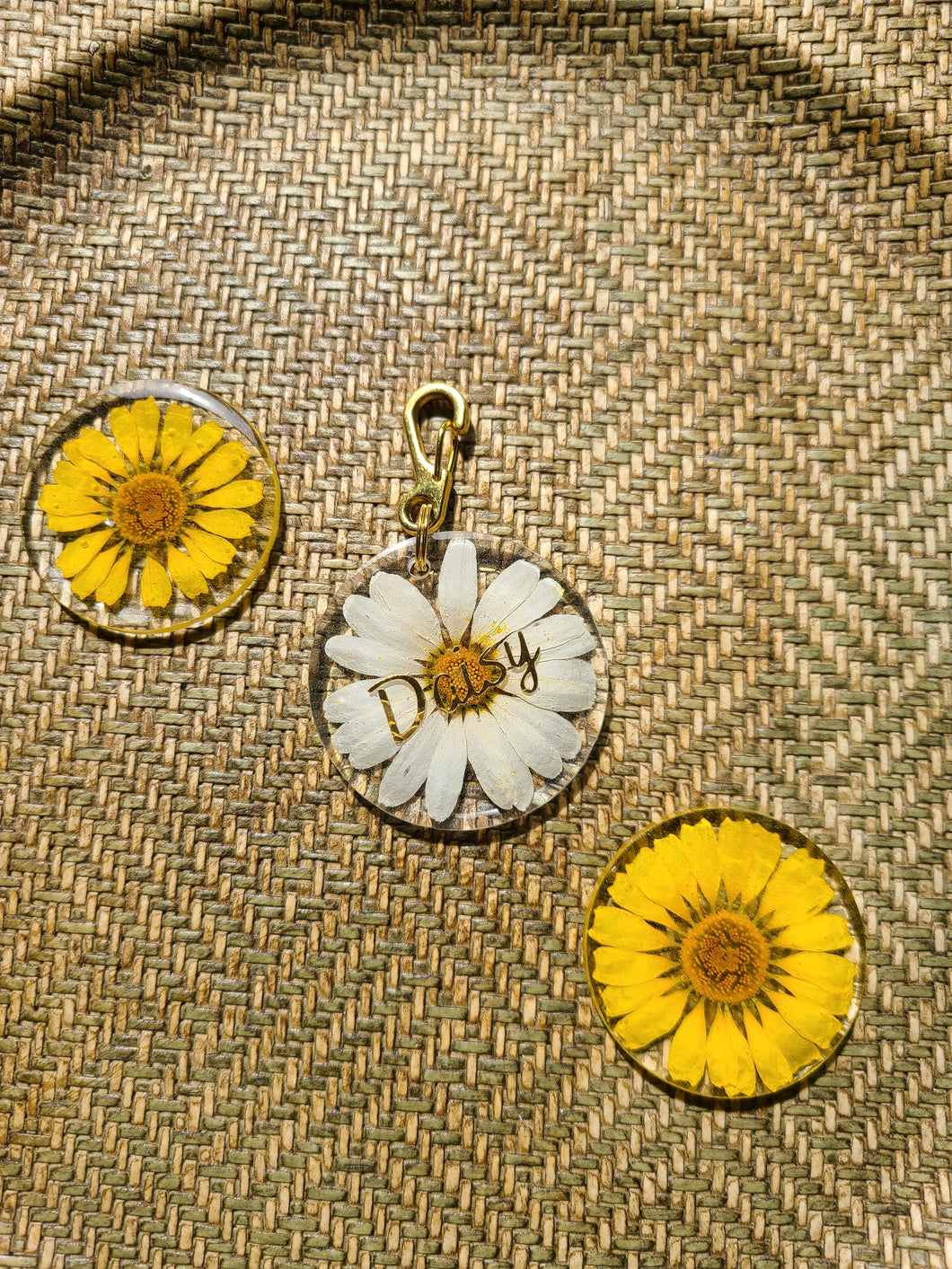 Large/small Dog Tag- Yellow Boston Daisy ,1.75  inches in diameter